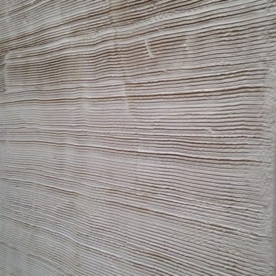 IMG-20190414-WA0012 - CA Plasterers